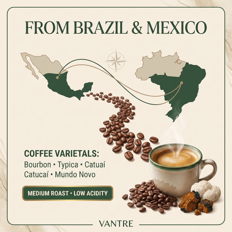 Vitality Mushroom Coffee – Medium Roast with Organic Lion’s Mane & Chaga | 12 oz Ground Coffee