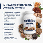 Mushroom Complex 10X – 60 Vegetable Capsules | Multi-Mushroom Dietary Supplement