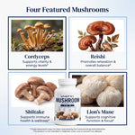 Mushroom Complex 10X – 60 Vegetable Capsules | Multi-Mushroom Dietary Supplement