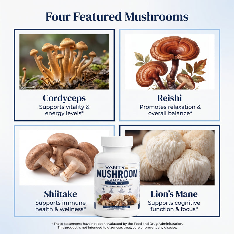 Mushroom Complex 10X – 60 Vegetable Capsules | Multi-Mushroom Dietary Supplement