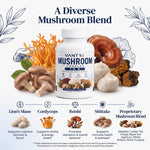 Mushroom Complex 10X – 60 Vegetable Capsules | Multi-Mushroom Dietary Supplement