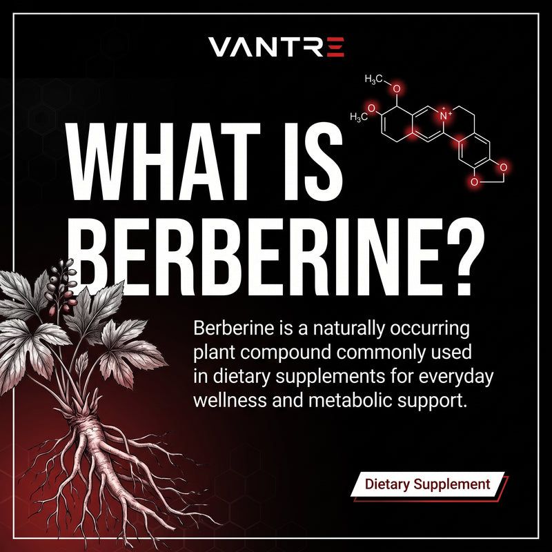 Berberine HCl Capsules – 60 Count Dietary Supplement