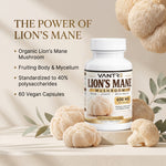 Lion’s Mane Mushroom Capsules – Organic Lion’s Mane Supplement, 60 Vegan Capsules, 400mg