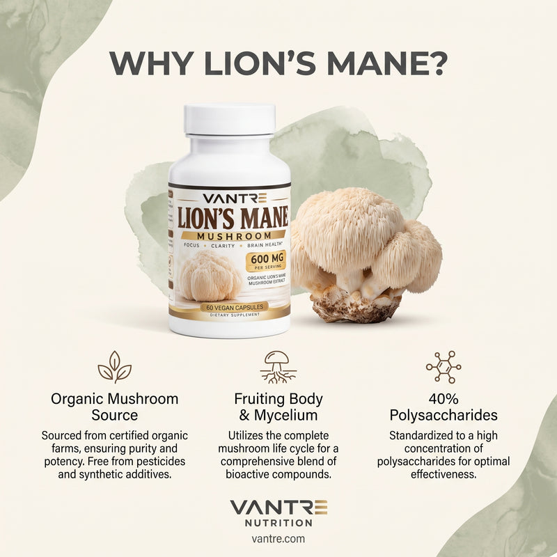 Lion’s Mane Mushroom Capsules – Organic Lion’s Mane Supplement, 60 Vegan Capsules, 400mg