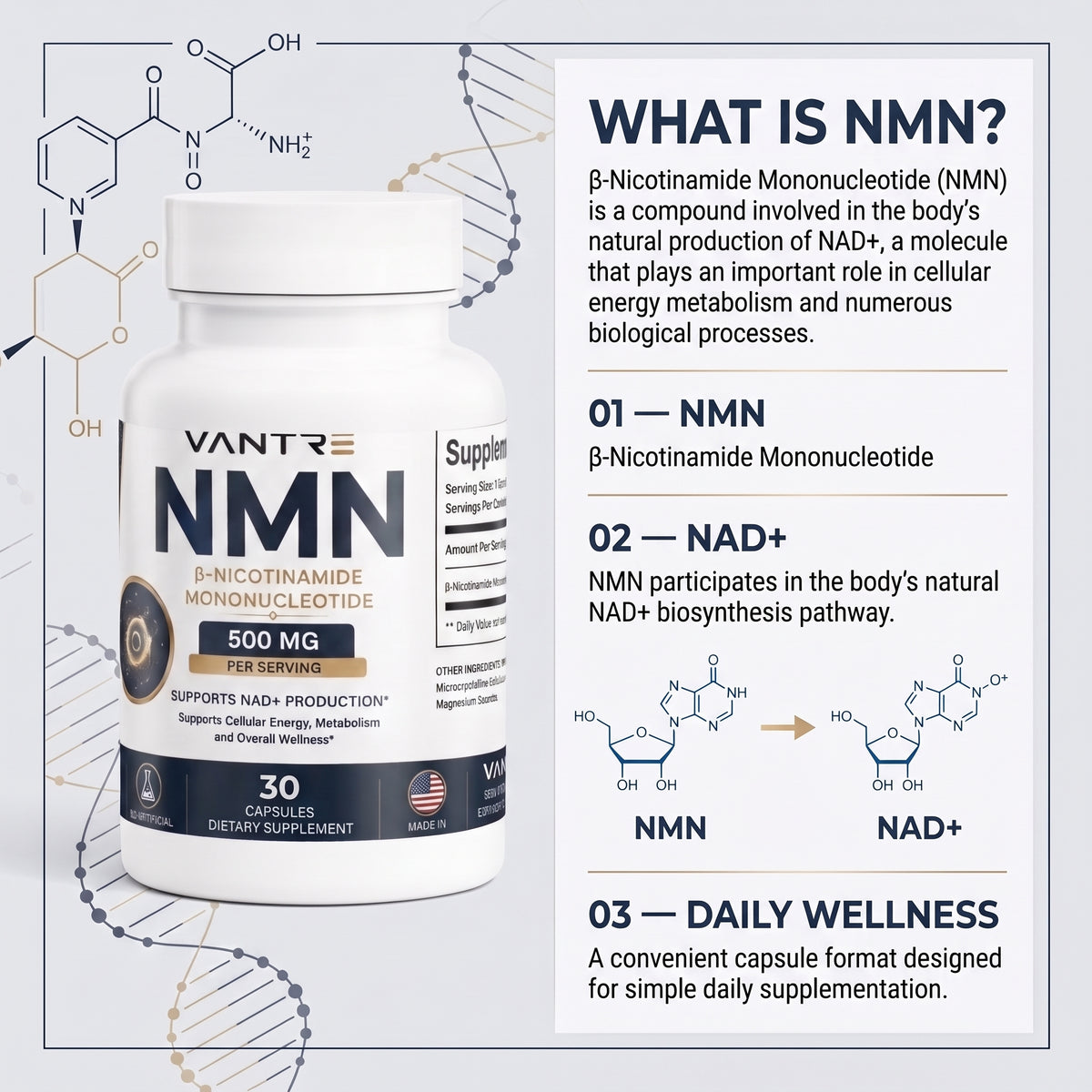 NMN 500mg Capsules – β-Nicotinamide Mononucleotide, 30 Capsules, NAD+ & Cellular Wellness Support